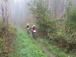 MTB-Auffahrt-Klosterholz_IMG_5839.jpg