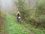 MTB-Auffahrt-Klosterholz_IMG_5844.jpg