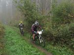 MTB-Auffahrt-Klosterholz_IMG_5899.jpg