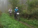 MTB-Auffahrt-Klosterholz_IMG_6016.jpg