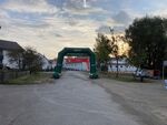 IMG_3584.JPG