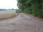 IMG_3589.JPG