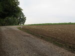 IMG_3593.JPG