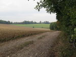 IMG_3596.JPG