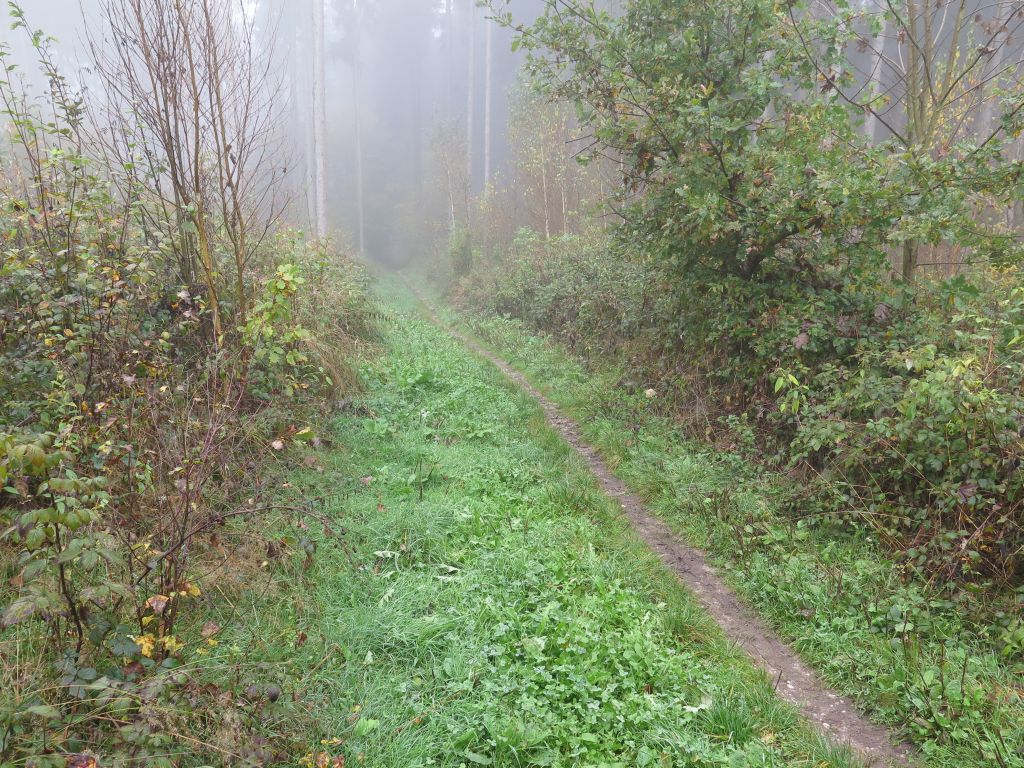 MTB-Auffahrt-Klosterholz_IMG_5820.jpg