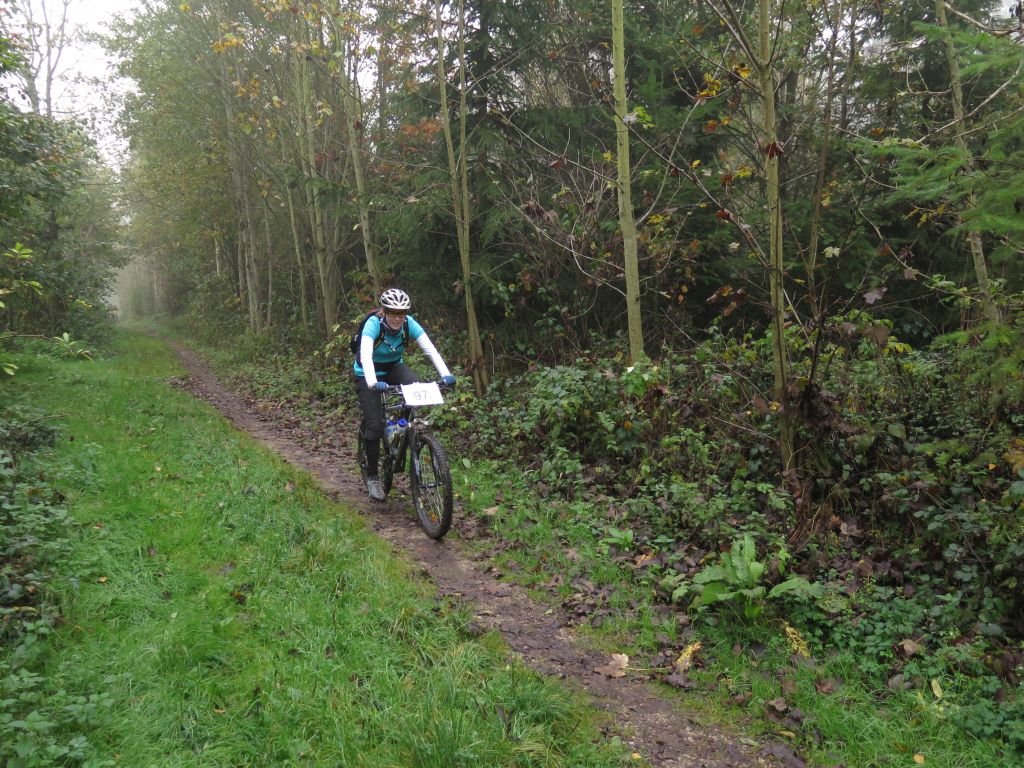 MTB-Auffahrt-Klosterholz_IMG_6085.jpg