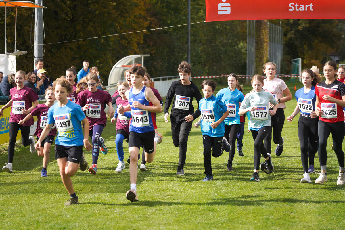 466 - PfLauf_Nachm-354.jpg