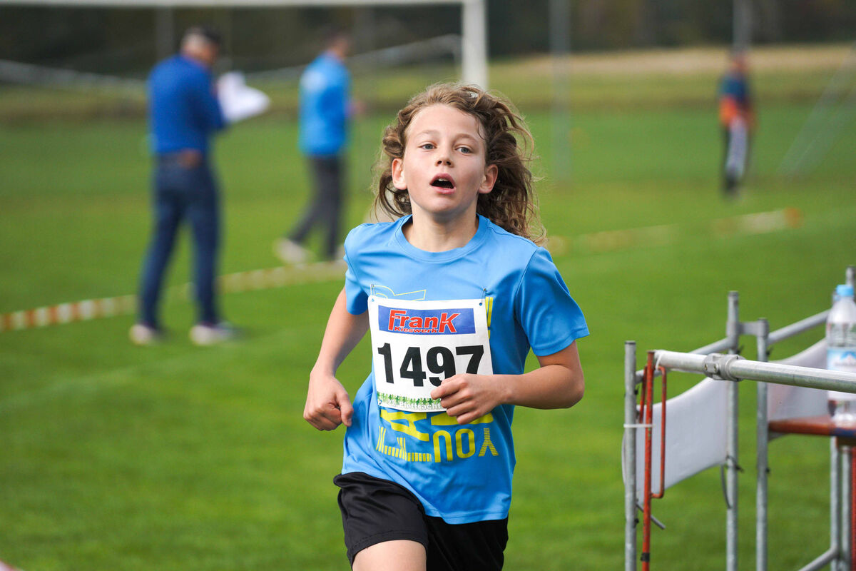 486 - PfLauf_Nachm-374.jpg