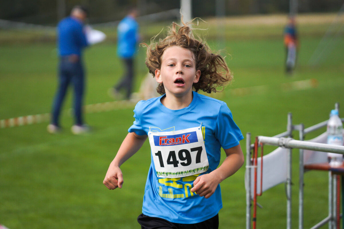 487 - PfLauf_Nachm-375.jpg