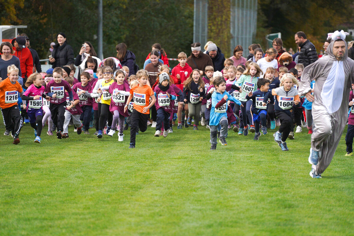 159 - PfLauf_Nachm-47.jpg