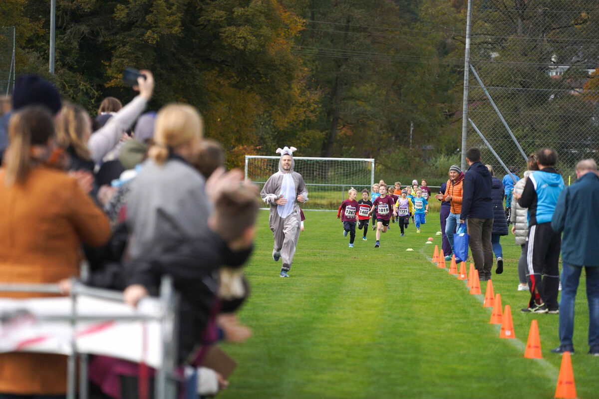 199 - PfLauf_Nachm-87.jpg