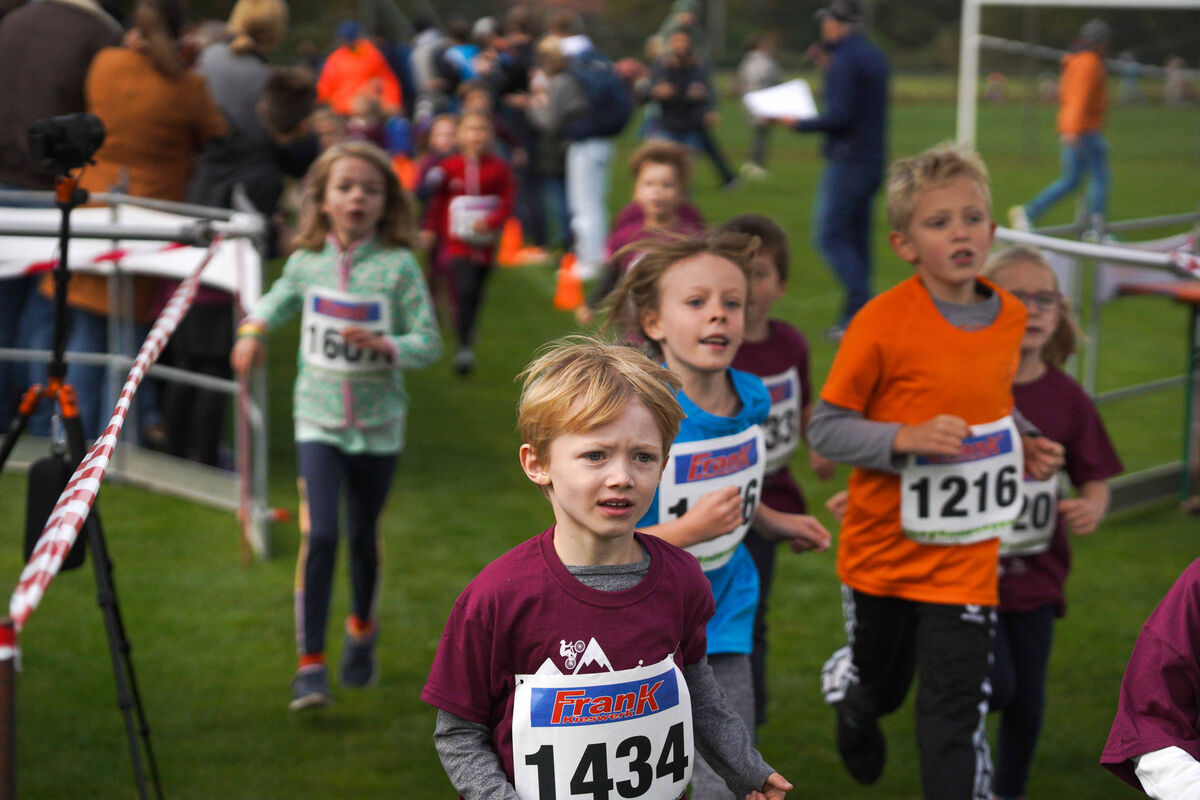 226 - PfLauf_Nachm-114.jpg