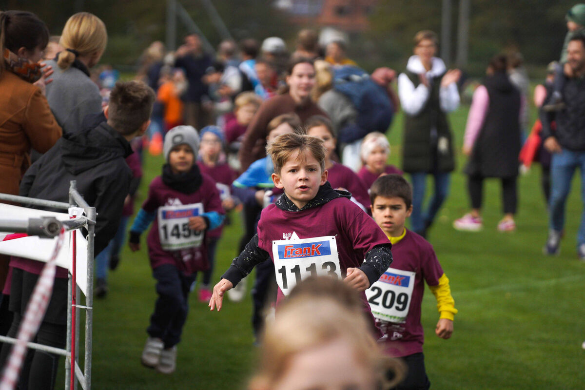 230 - PfLauf_Nachm-118.jpg