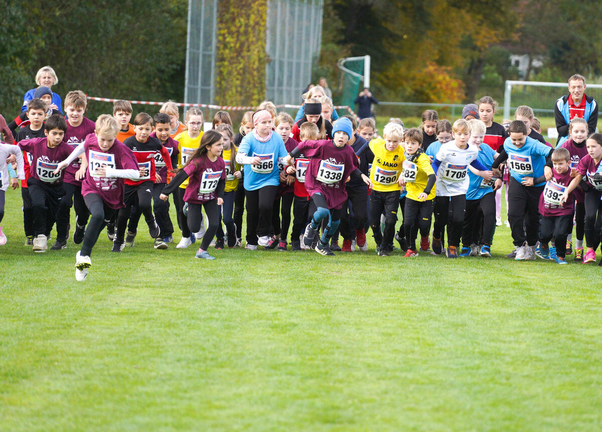 314 - PfLauf_Nachm-202.jpg