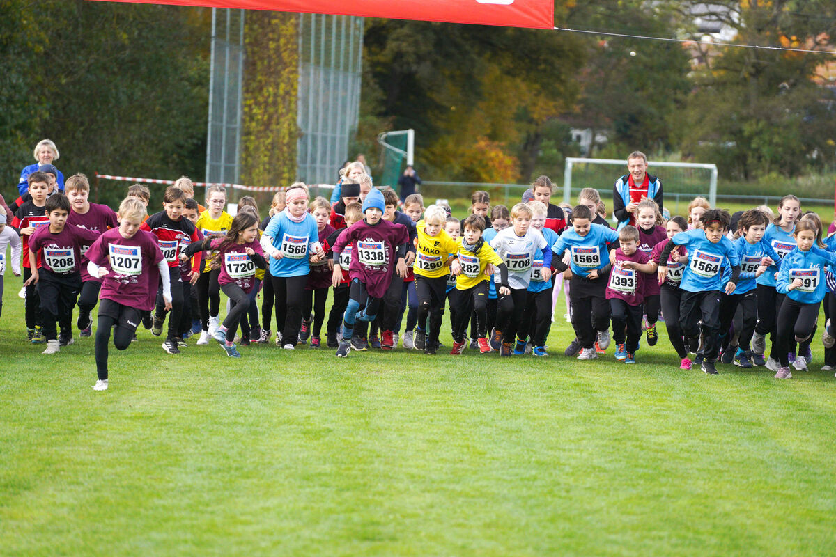 315 - PfLauf_Nachm-203.jpg