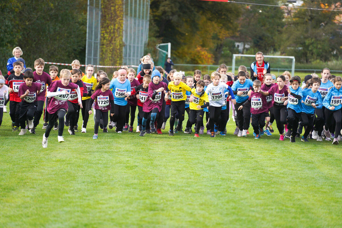 316 - PfLauf_Nachm-204.jpg