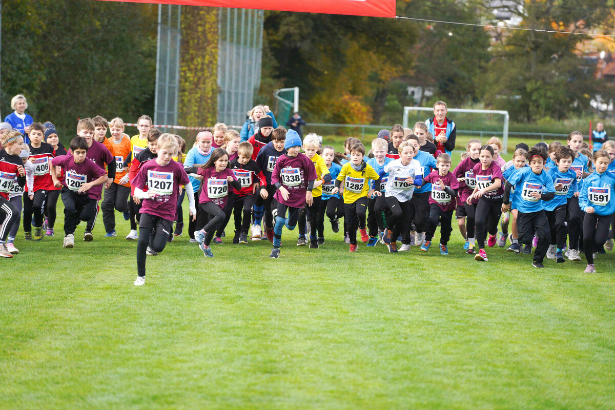 318 - PfLauf_Nachm-206.jpg