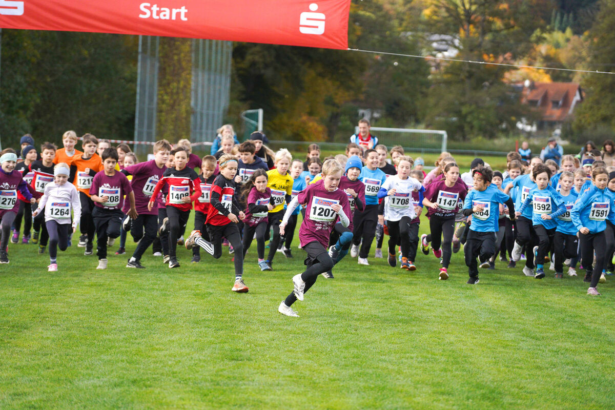 320 - PfLauf_Nachm-208.jpg