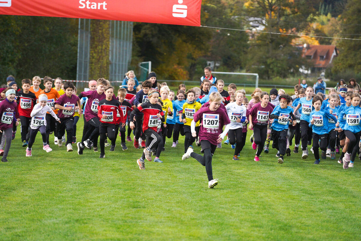 321 - PfLauf_Nachm-209.jpg