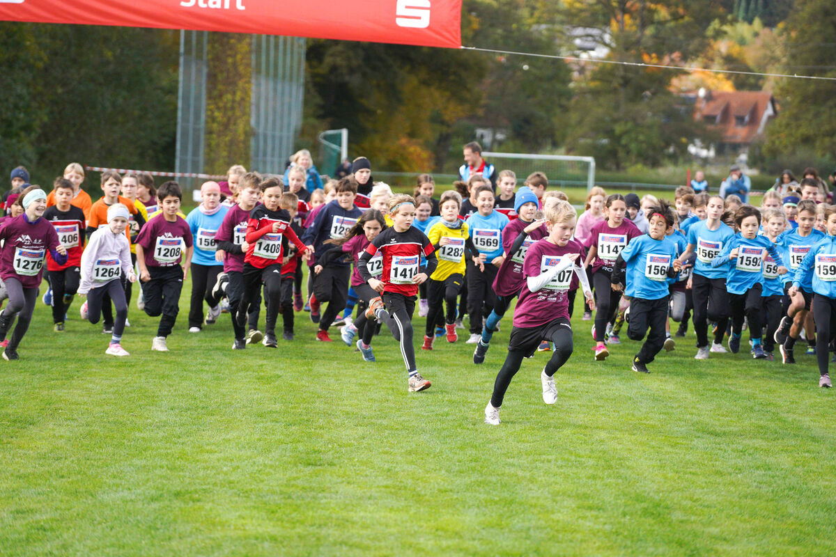 322 - PfLauf_Nachm-210.jpg