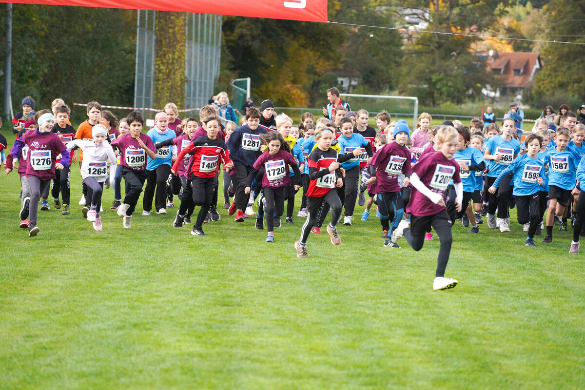 323 - PfLauf_Nachm-211.jpg