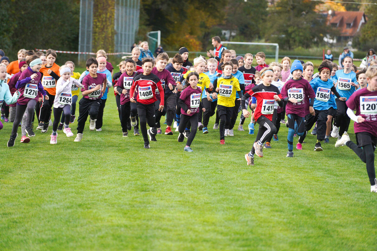 325 - PfLauf_Nachm-213.jpg