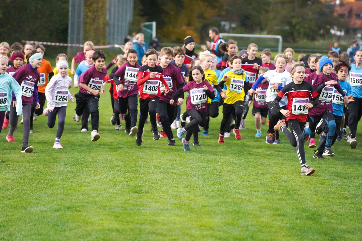 326 - PfLauf_Nachm-214.jpg