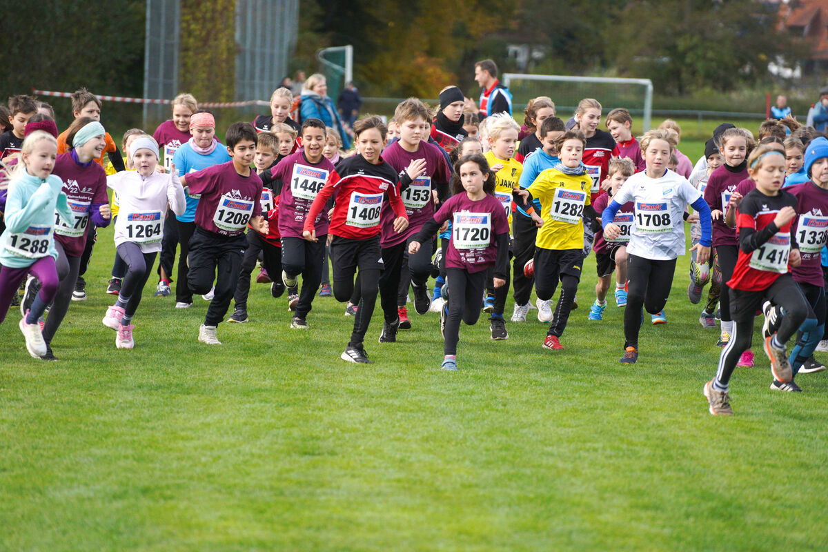 327 - PfLauf_Nachm-215.jpg