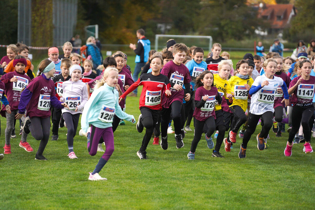 329 - PfLauf_Nachm-217.jpg