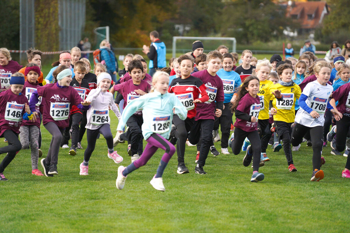 330 - PfLauf_Nachm-218.jpg