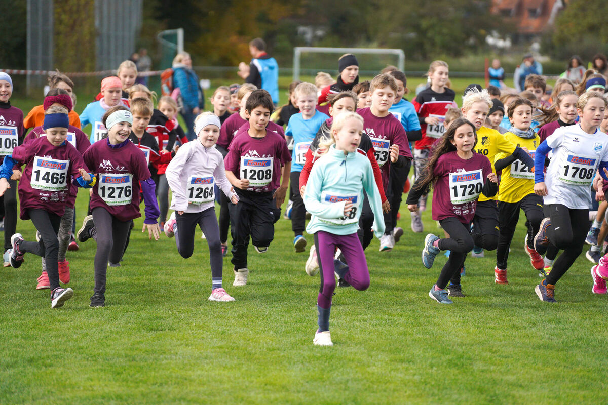 331 - PfLauf_Nachm-219.jpg