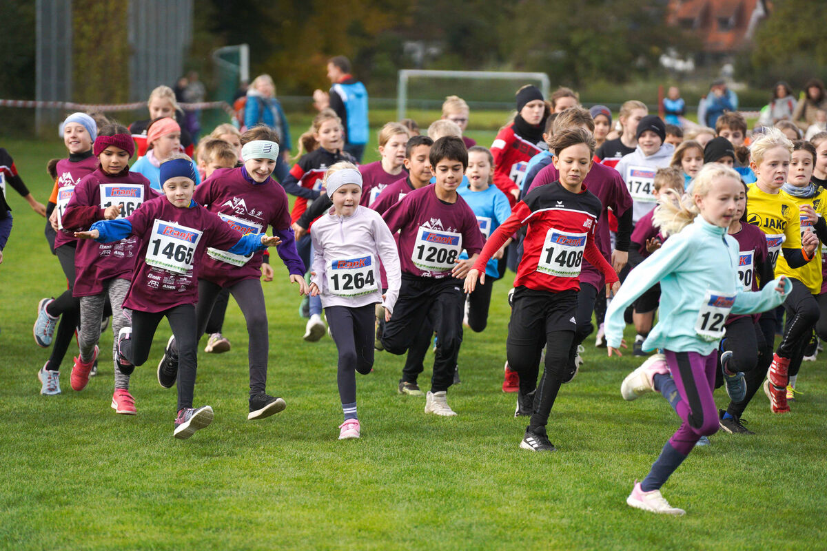 333 - PfLauf_Nachm-221.jpg