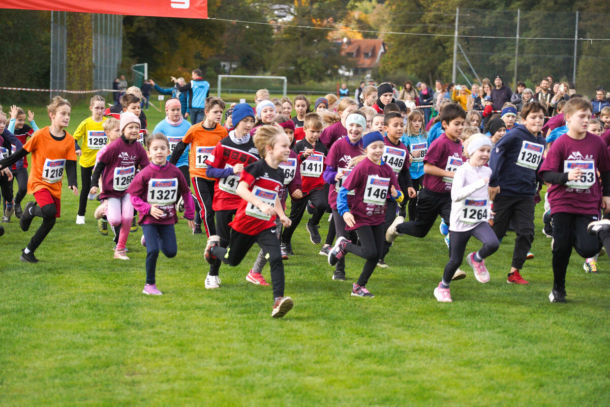 334 - PfLauf_Nachm-222.jpg