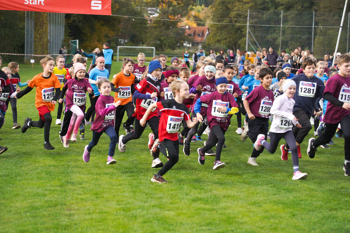 335 - PfLauf_Nachm-223.jpg