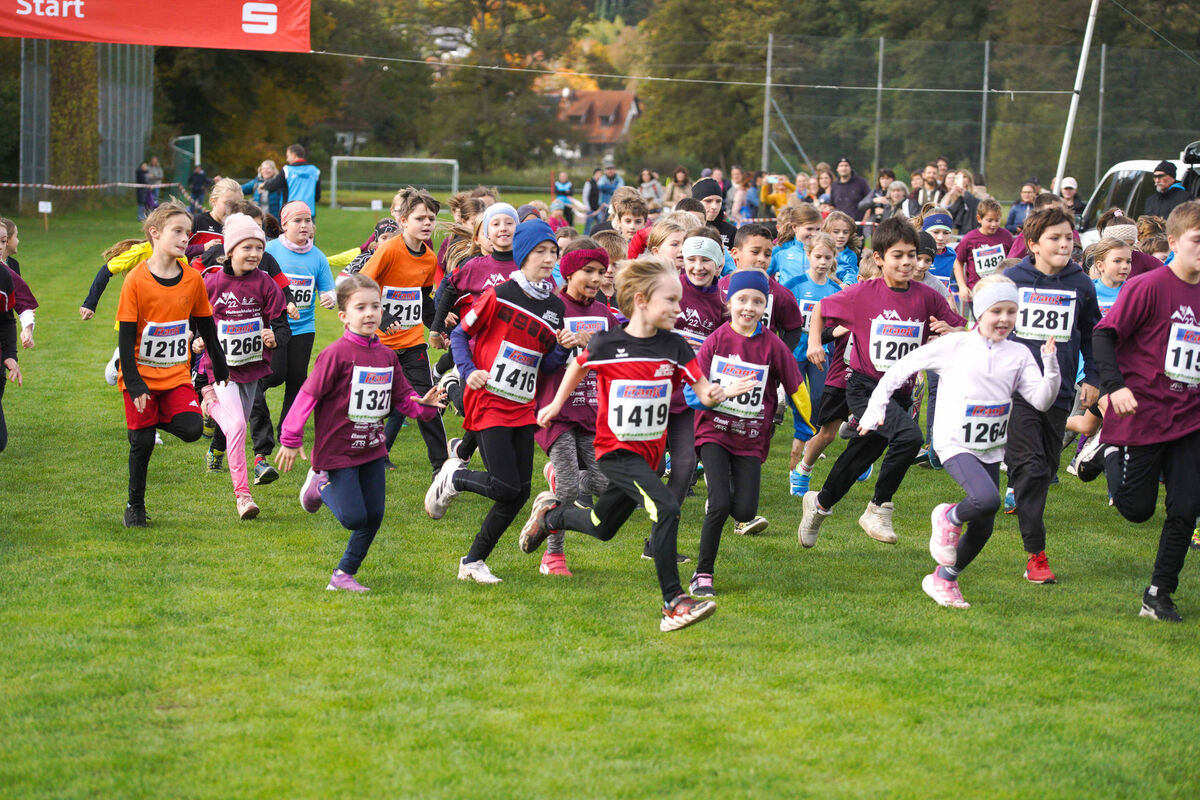 336 - PfLauf_Nachm-224.jpg