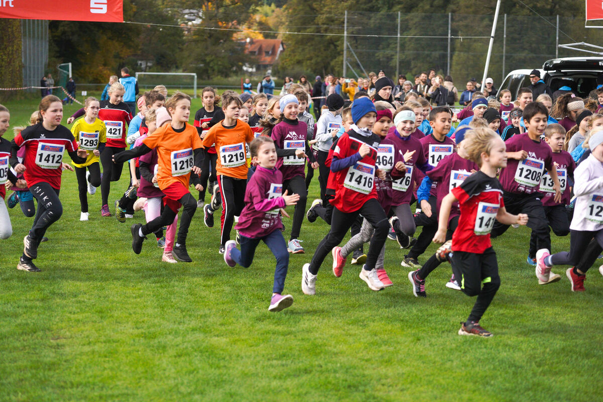 337 - PfLauf_Nachm-225.jpg