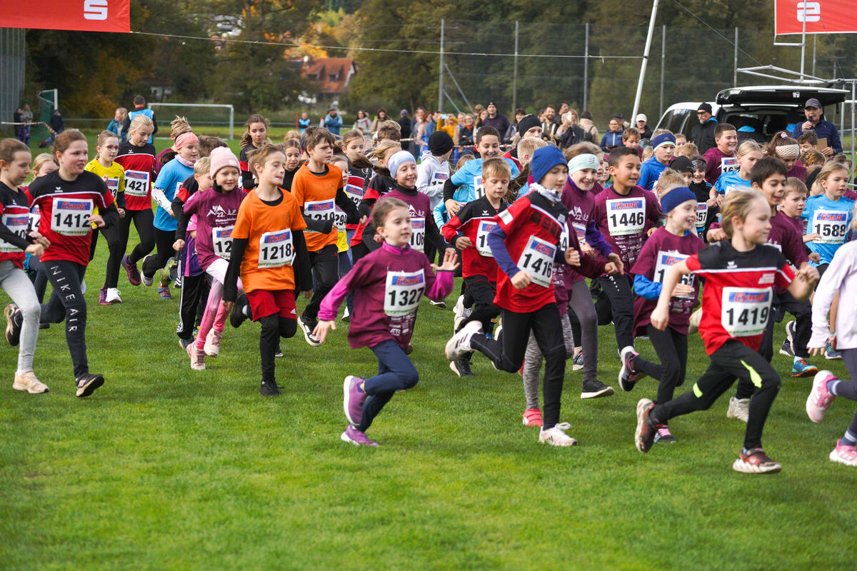 338 - PfLauf_Nachm-226.jpg