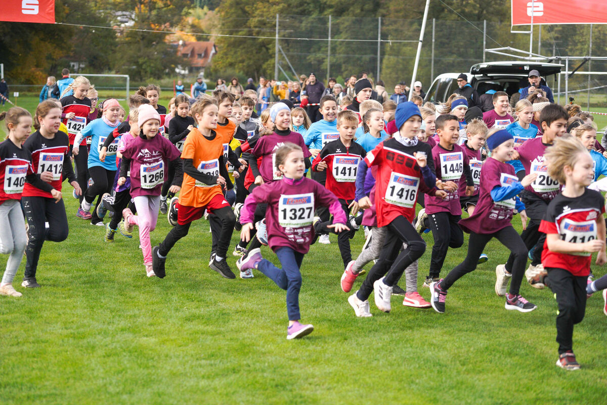 339 - PfLauf_Nachm-227.jpg