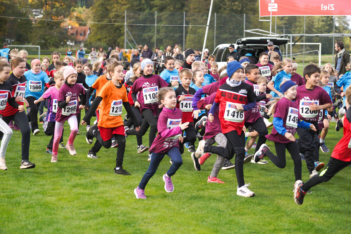 340 - PfLauf_Nachm-228.jpg