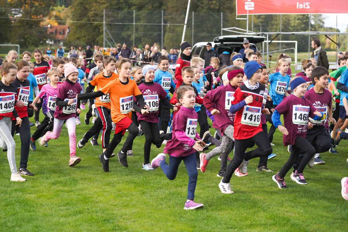 341 - PfLauf_Nachm-229.jpg