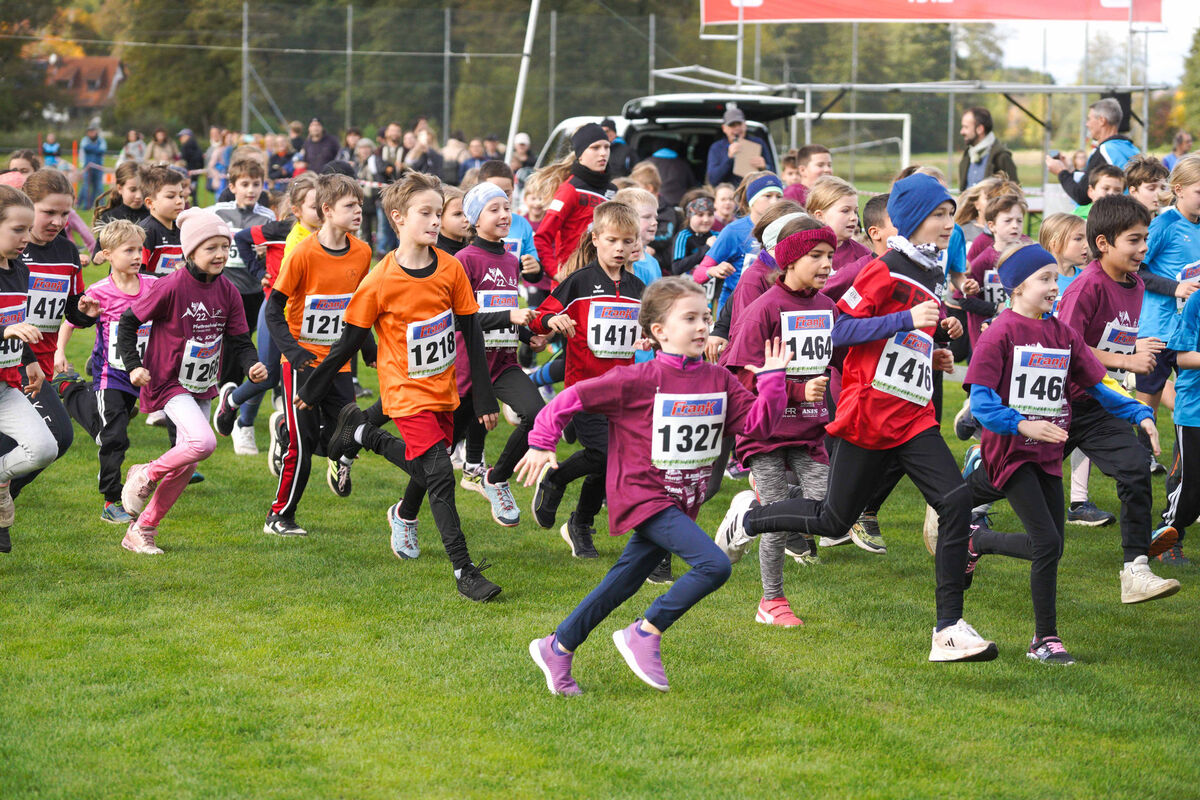 342 - PfLauf_Nachm-230.jpg