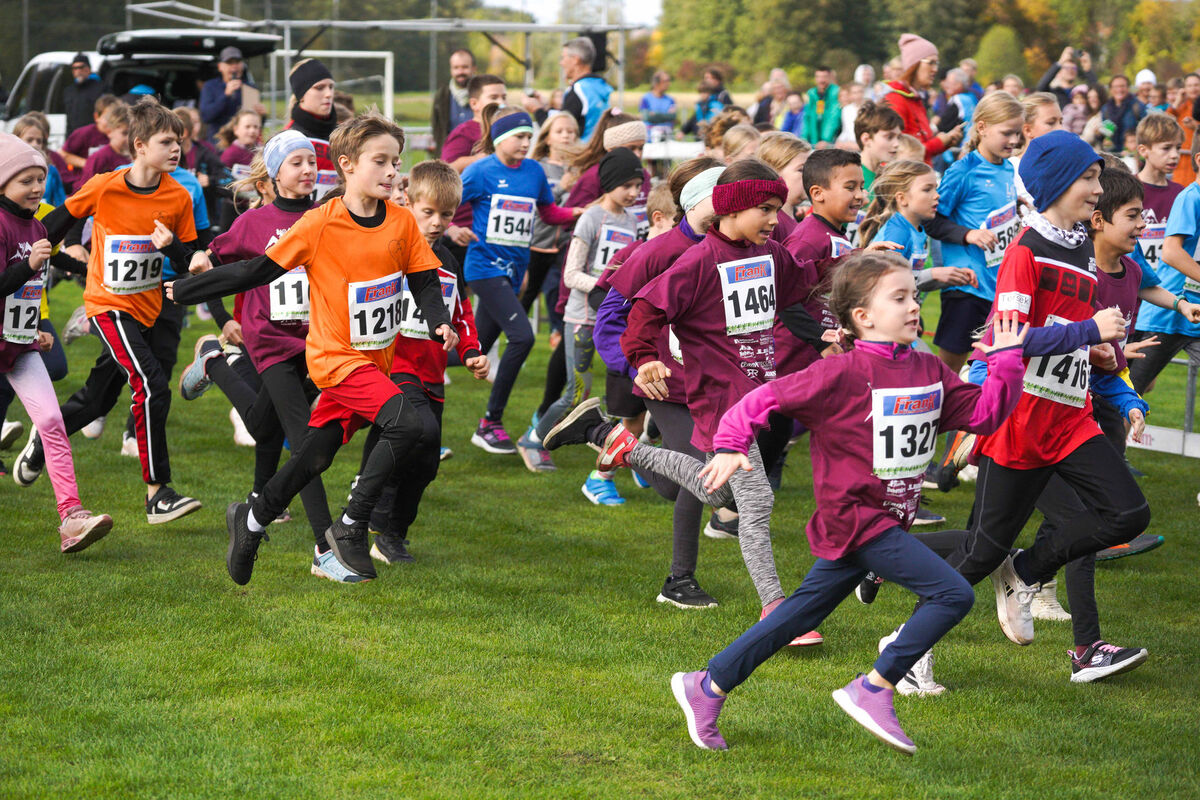 344 - PfLauf_Nachm-232.jpg