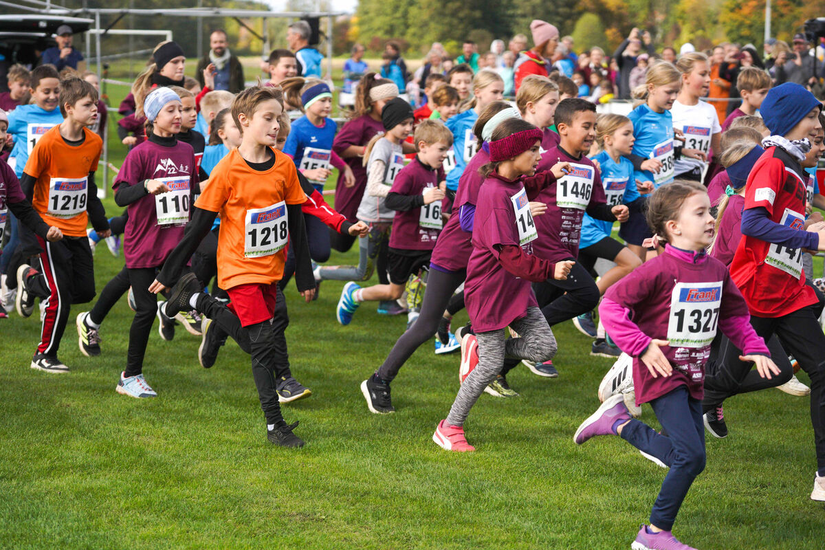 345 - PfLauf_Nachm-233.jpg