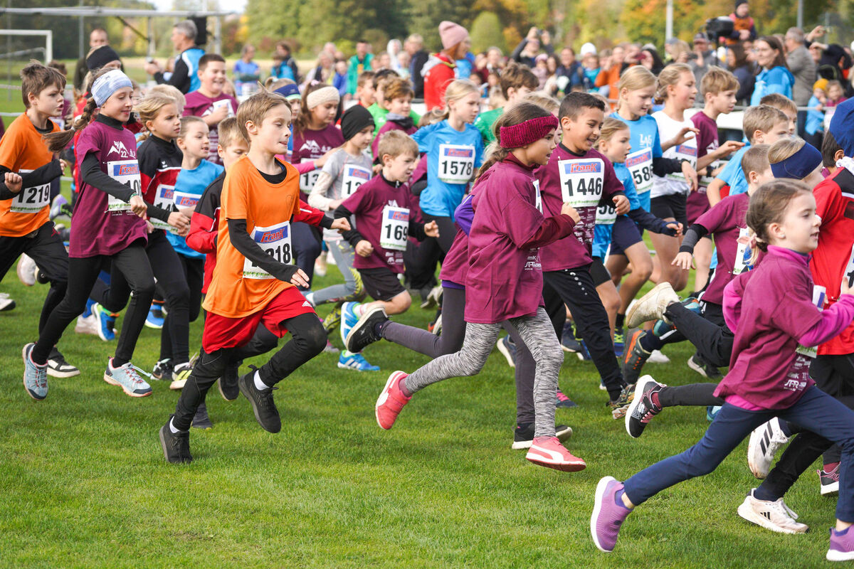 346 - PfLauf_Nachm-234.jpg