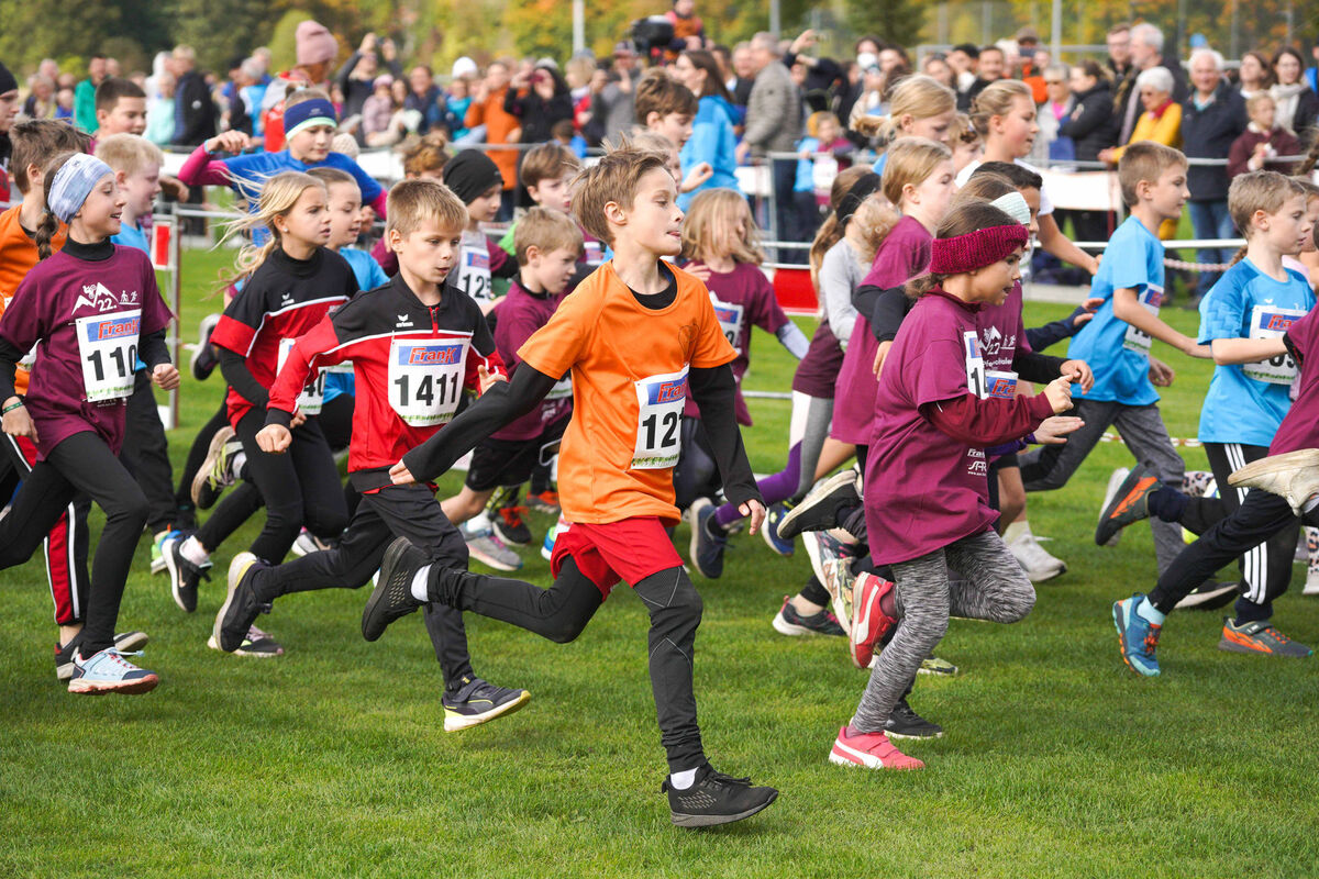 349 - PfLauf_Nachm-237.jpg