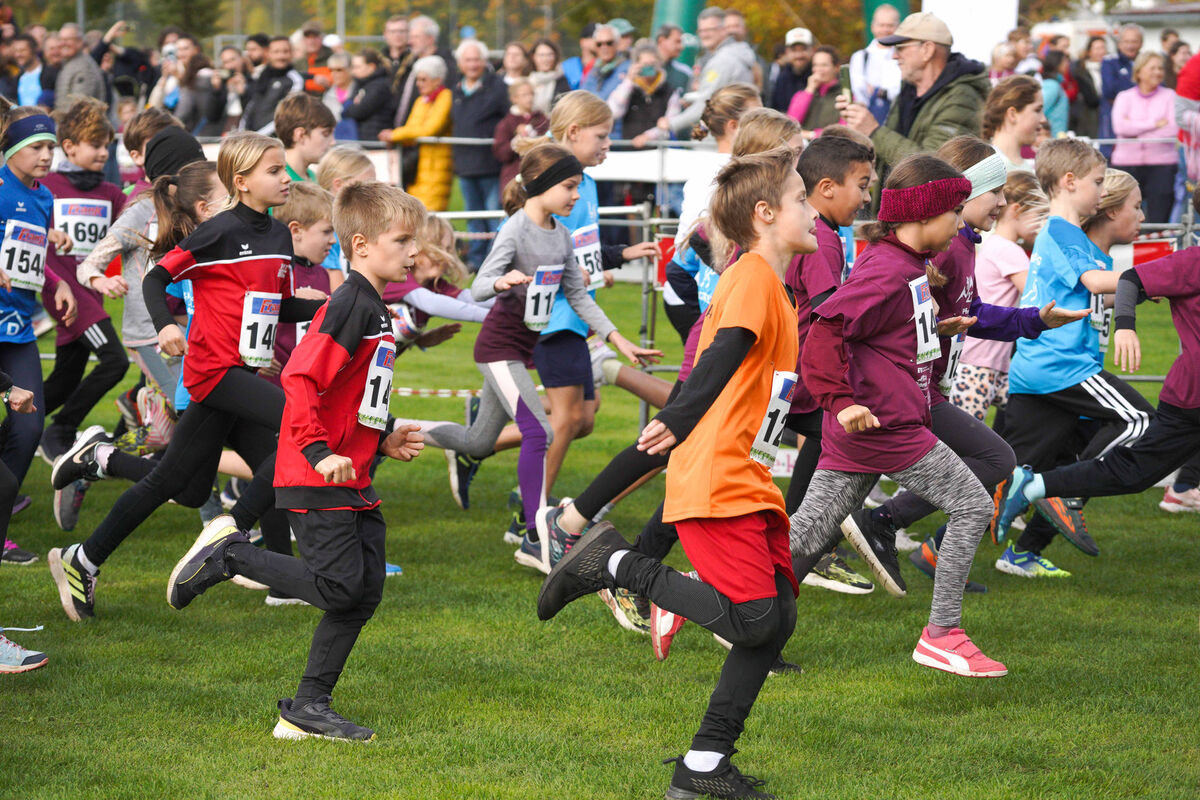 352 - PfLauf_Nachm-240.jpg