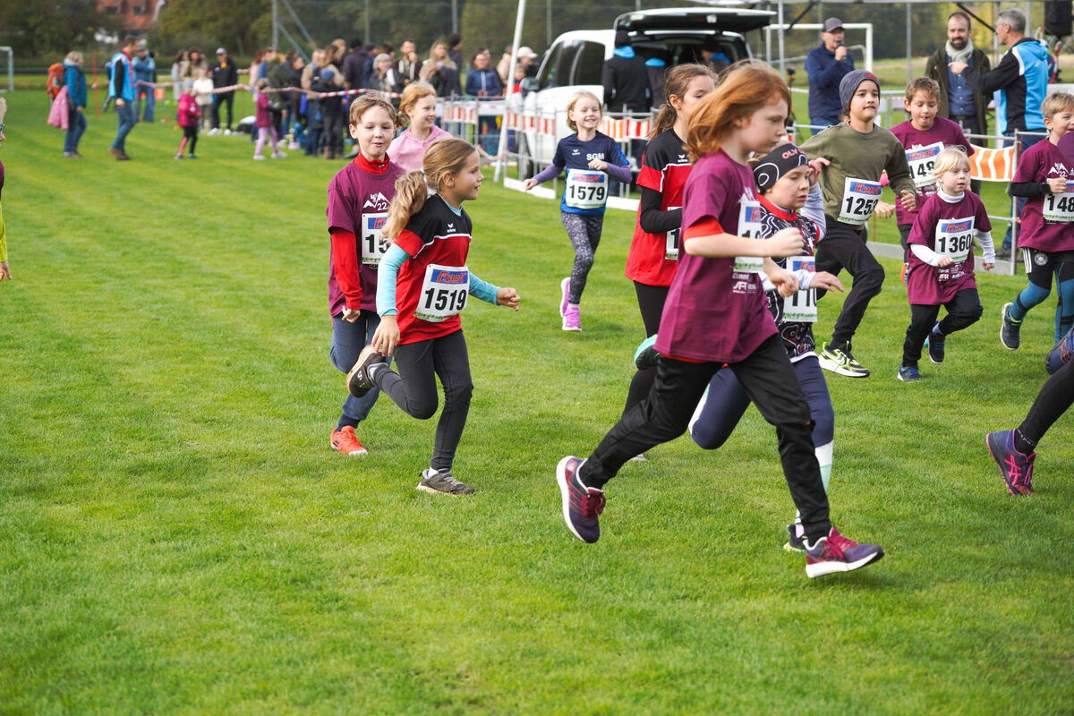 353 - PfLauf_Nachm-241.jpg