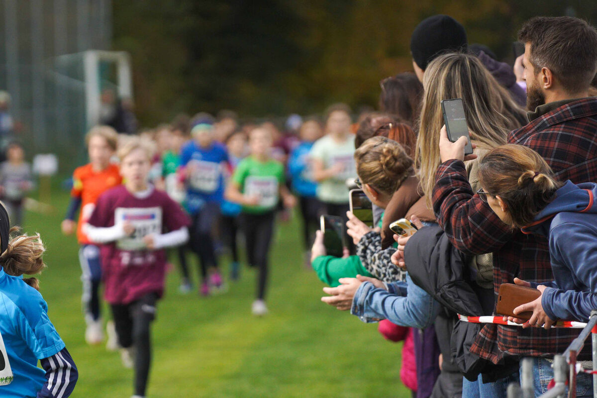 359 - PfLauf_Nachm-247.jpg