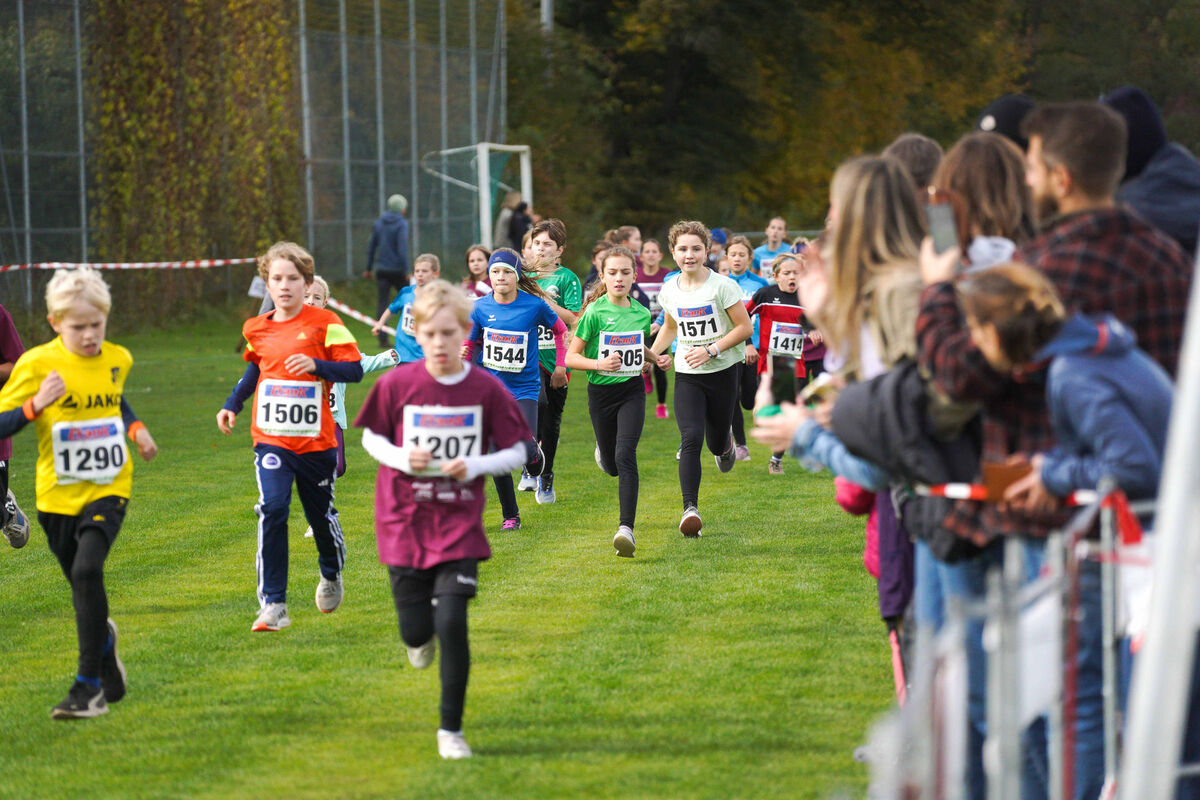 361 - PfLauf_Nachm-249.jpg