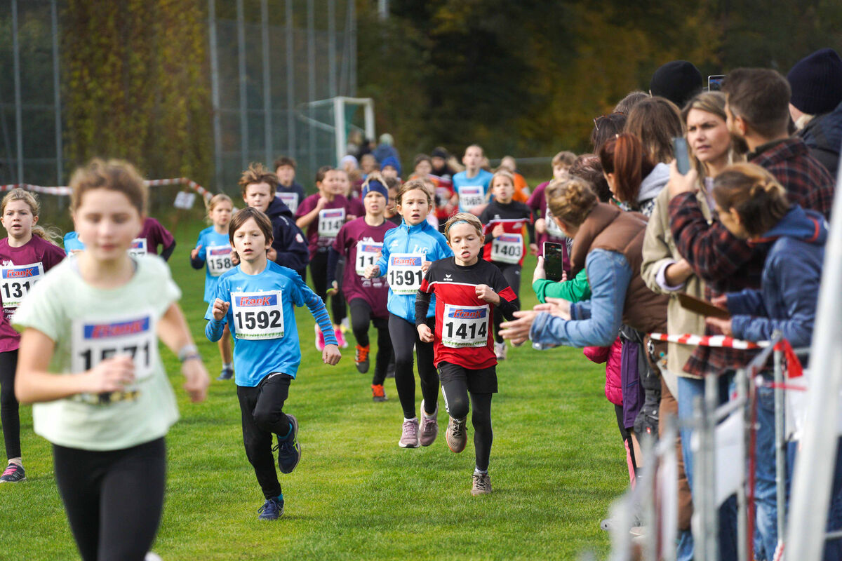 366 - PfLauf_Nachm-254.jpg